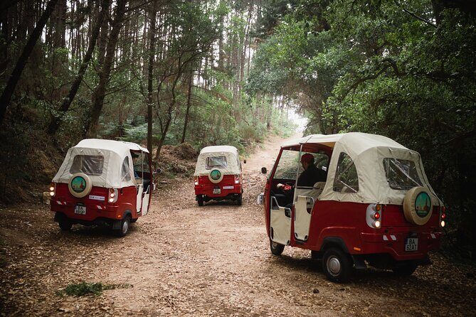 1-Hour Guided Tuk-Tuk Tour in Sintra - What You Get From the Guides: Route Confidence and Better Viewpoints