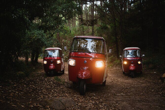 1-Hour Guided Tuk-Tuk Tour in Sintra - Should You Book This 1-Hour Sintra Tuk-Tuk Tour?