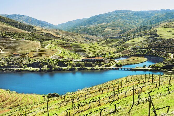10-Days / Private Tailored Trip of Portugal (Best Highlights) - Sintra, Nazaré, and the Castle-and-Coast Day Strategy