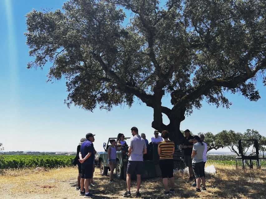 2hr Cork Safari in a Classical Land Rover - What You’ll See Beyond Cork: Vines, Olives, Pigs, and Sheep