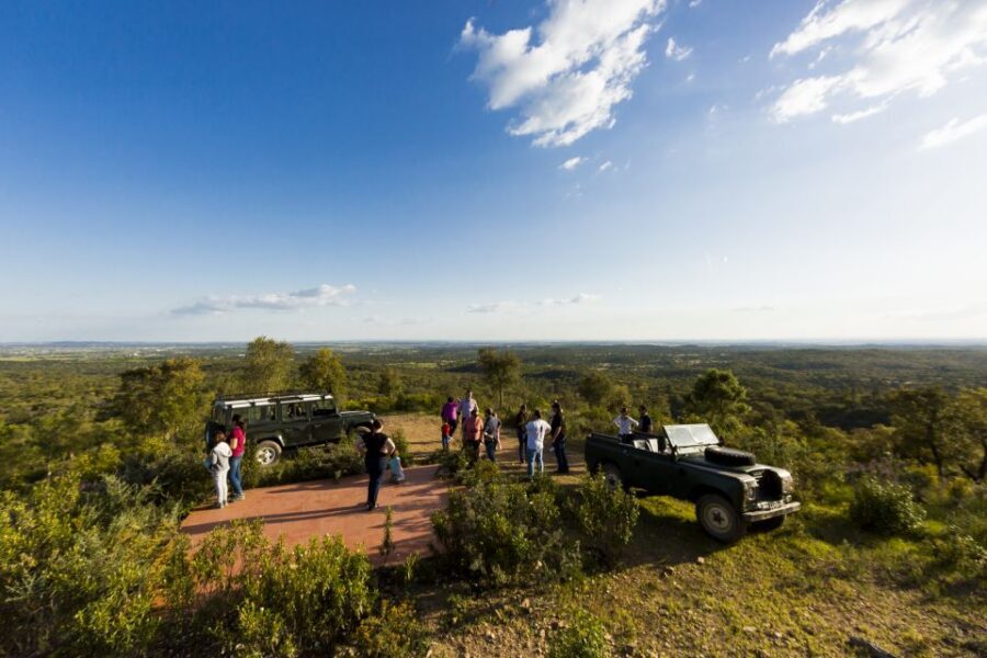 2hr Cork Safari in a Classical Land Rover - Winery Shop Time: Cork Crafts, Olive Oil, and Estate Wines