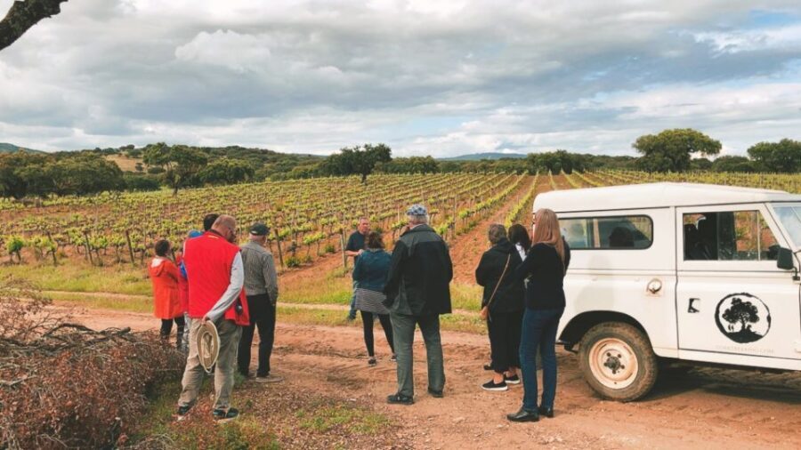 2hr Cork Safari in a Classical Land Rover - The Traditional Cork Strippers’ Lunch (And How to Think About It)