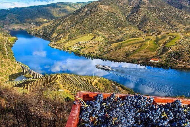5 Days Private Tour In Portugal from Lisbon - What kind of traveler this tour fits best