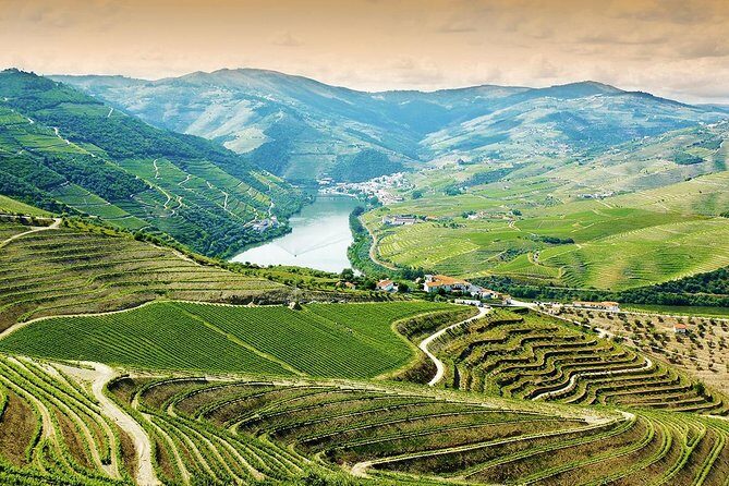 6-Day North Portugal Tour: Porto, Braga, Fátima, Coimbra, Guimaraes, Aveiro and Batalha, from Lisbon - Day 5 road trip: Amarante, Mateus gardens, Douro vineyards, and Lamego’s staircase