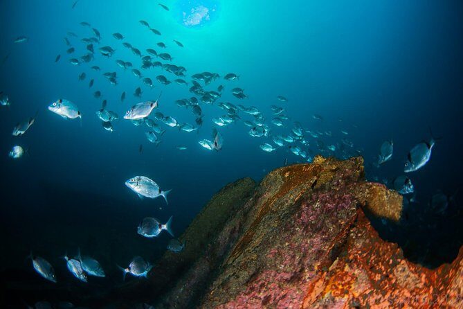 A day at the beach and diving - Price and Value: What $289.11 Really Buys You