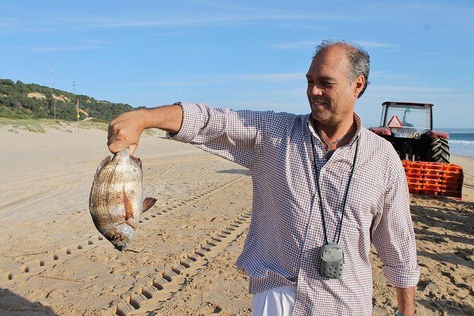 A Day of Tastes, Views & Heritage, tour from Lisbon - Parque Natural da Arrabida: Sado estuary views plus a fast heritage moment