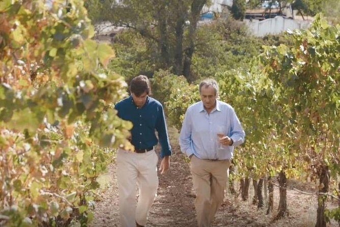 Alentejo Wine Tour from Évora - Why this Alentejo wine tour from Évora feels efficient