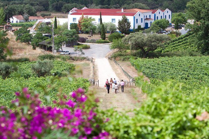 Alentejo Wine Tour from Évora - Stop 2: Monte da Ravasqueira winery walk, cellar, and tasting
