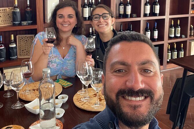 Alentejo Wine Tour from Évora - Air-conditioned transport and why it matters on a short day