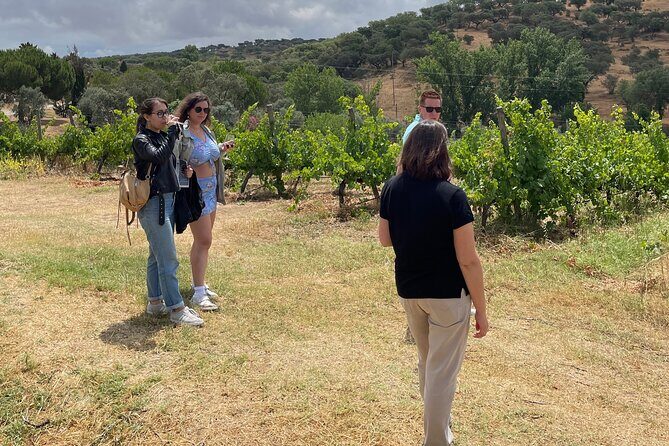 Alentejo Wine Tour from Évora - Weather and timing: how to plan your day around it