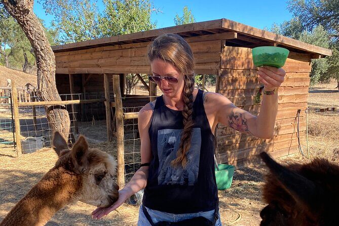 Alpaca Farm MamaAdama Meet & Feed - Price and Value: Is It Worth $27.56?