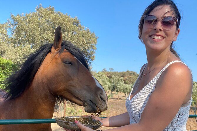 Alpaca Farm MamaAdama Meet & Feed - Pool Time After the Animals: Why It’s Worth Planning for
