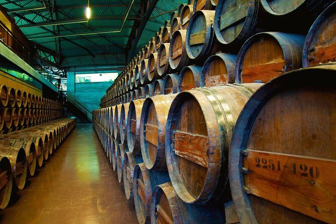 Arrabida and Bacalhoa Wine Tasting Private Tour from Lisbon - Palacio da Bacalhôa: museum, art collection, and the wine tasting finale