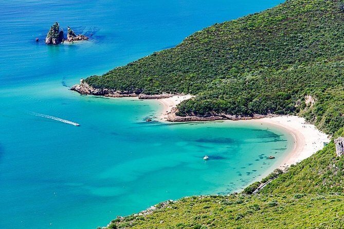 Arrábida and Setúbal Private Full Day Sightseeing Tour from Lisbon - Price and value: what you’re paying for at $289.73 per person