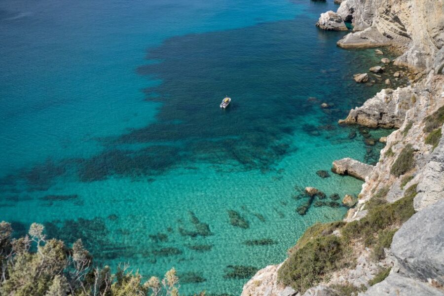 Arrábida: Boat tour along the heart of Sesimbra - Key highlights you’ll actually feel during the tour