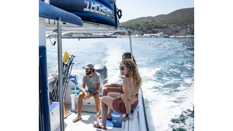 Arrábida: Boat tour along the heart of Sesimbra - The Ribeira do Cavalo stop: Your main swim, snorkeling, and paddle time