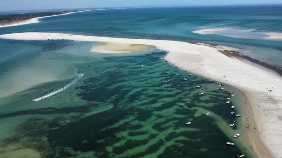 Arrábida: Boat Tour Experience / Lisbon Transfer available - The Value Question: Why This Usually Feels Worth It for $57