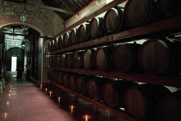 Arrábida: Full-Day Private Tour with Wine Tasting - Key highlights you should care about