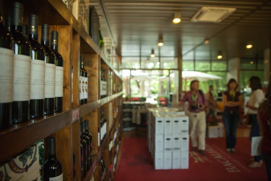 Arrábida: Full-Day Private Tour with Wine Tasting - Sesimbra Castle and the fishing village: views up top, seafood below