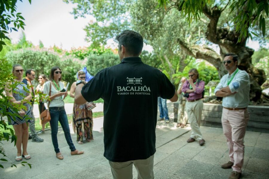 Arrábida: Full-Day Private Tour with Wine Tasting - Azeitão wine tasting: 6 wines at José Maria da Fonseca cellars