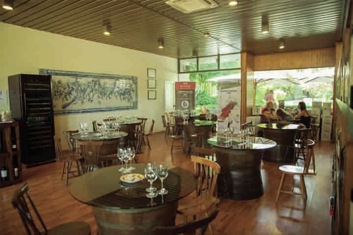 Arrábida: Full-Day Private Tour with Wine Tasting - Price and value: how $141 makes sense on a private day