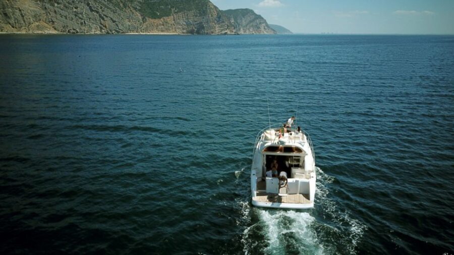 Arrábida Full-Day Yacht Tour from Lisbon - Dolphins and rare birds: spotting tips and why the crew matters