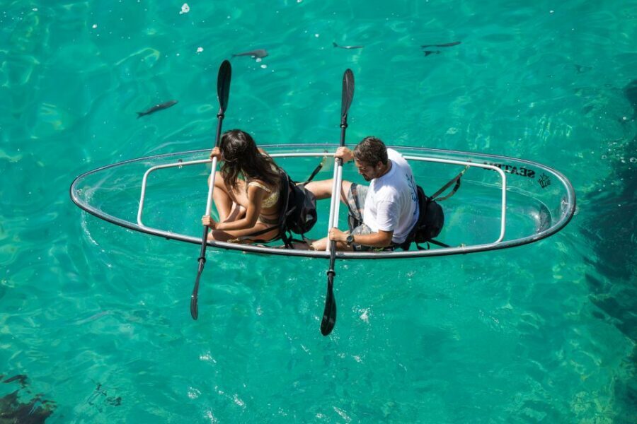 Arrábida: Guided Transparent Kayaking Tour - What to Bring So You Don’t Have a Bad Day