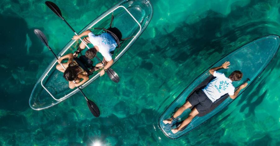 Arrábida: Guided Transparent Kayaking Tour - Price and Value: What $64 Buys You Here