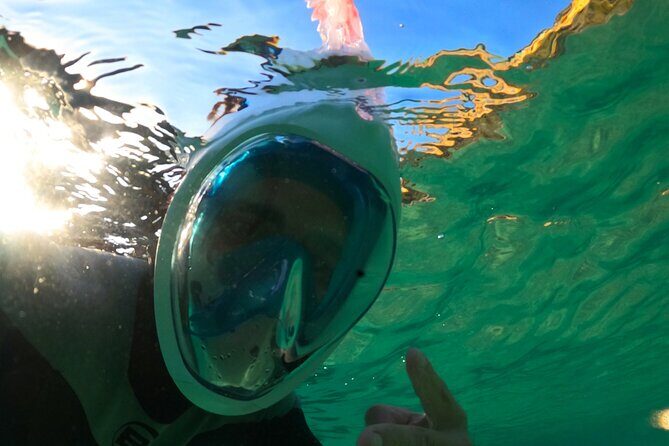 Arrábida Kayaking & Wild Beach Snorkeling/ Pick-Up Available - Pickup, Group Size, and Timing: The Logistics That Make It Feel Easy