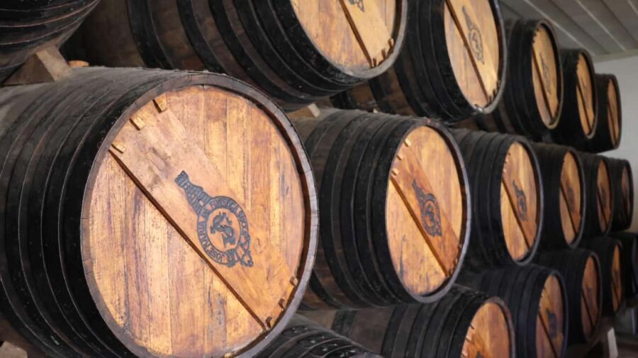 Arrabída Natural Park with Wine Tasting - Who This Tour Suits Best (and Who Might Skip It)