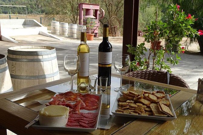 Arrábida Palmela Azeitão Private Tour - W/ Wine Tasting & Tapas - Why This Arrábida–Azeitão Day Feels Like a Real Day Out