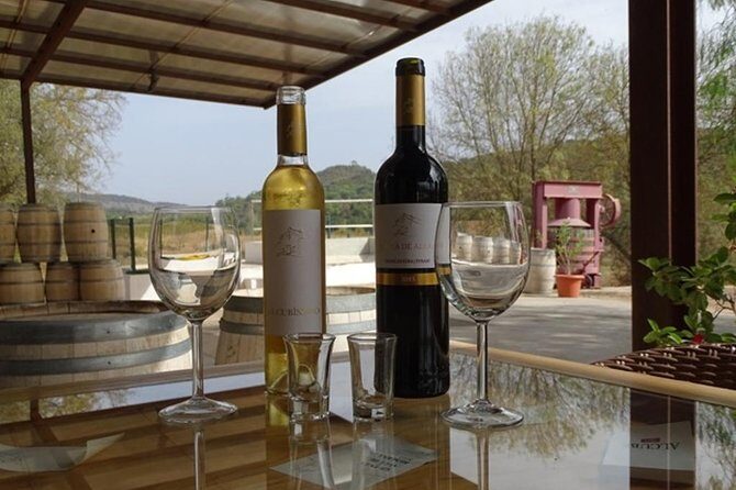 Arrábida Palmela Azeitão Private Tour - W/ Wine Tasting & Tapas - The Long Tagus River Crossing: First Views, Big Portugal Energy
