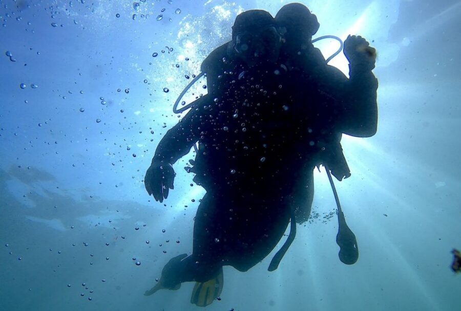 Arrábida - Sesimbra: Eco-Friendly Beginner's Scuba Diving - Key highlights that matter (before you book)