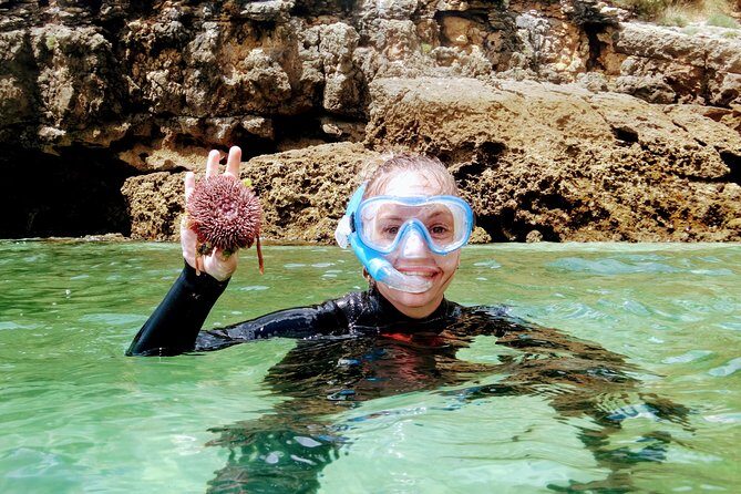 Arrábida Snorkeling Adventure with Transfer from Lisbon - Arrábida National Reserve snorkeling: what this 5-hour day feels like