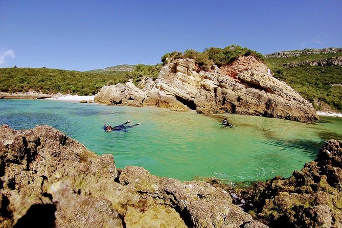 Arrábida Snorkeling Adventure with Transfer from Lisbon - What to bring (and what to skip) for a smoother snorkel day