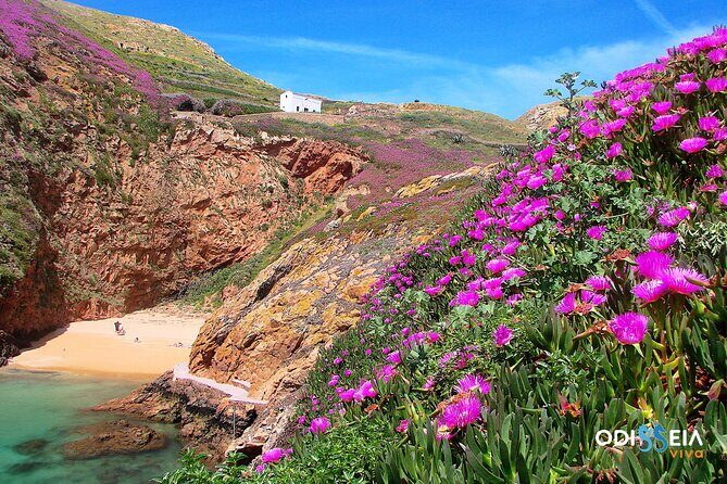 Berlengas Island Catamaran Tour - Round Trip - Food, toilets, and what to pack for a smooth island stop