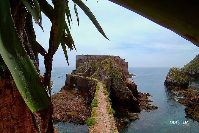 Berlengas Island Catamaran Tour - Round Trip - Who this tour fits best—and who should consider another option