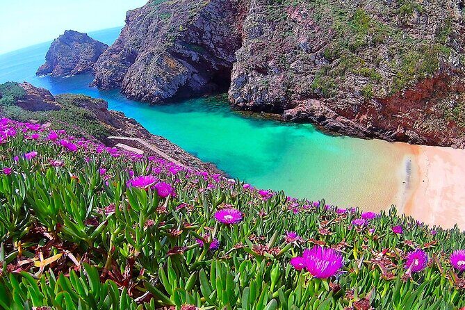 Berlengas Island Catamaran Tour - Round Trip - Peniche meeting point: keep your schedule flexible