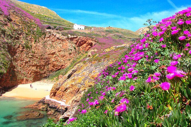 Berlengas Island Catamaran Tour + Snorkeling - The Berlenga Biosphere Reserve angle: what that means for your day