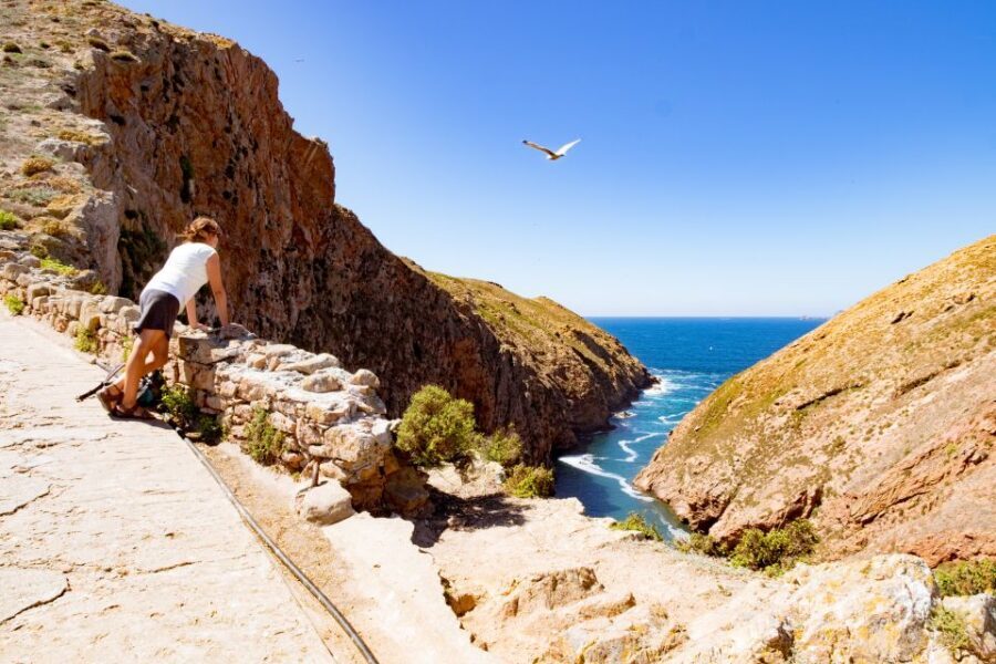 Berlengas The Atlantic Frontier: Day Tour from Lisbon - Walking the authorized nature paths: sea views with a safety net