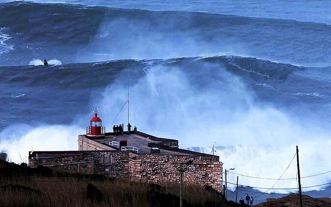 Berlengas Tour - Key things to know before you go