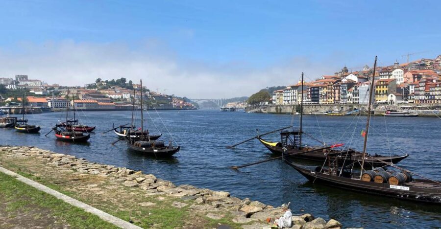 Best of Porto - Private Tour from Lisbon - Clérigos Tower and Porto Cathedral: the skyline stops that anchor the day