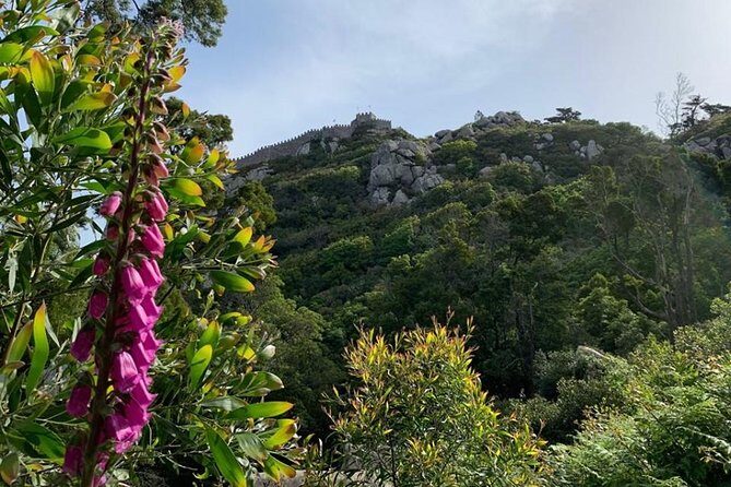 Best Of Sintra & Cascais with Locals - Stop 2: Monserrate Palace—where the gardens really take over