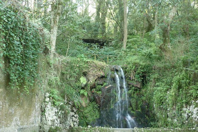 Best of Sintra, Estoril Coast and Two Palaces 8H Private Tour - Choose one after Pena: Queluz, Quinta da Regaleira, or Sintra National Palace