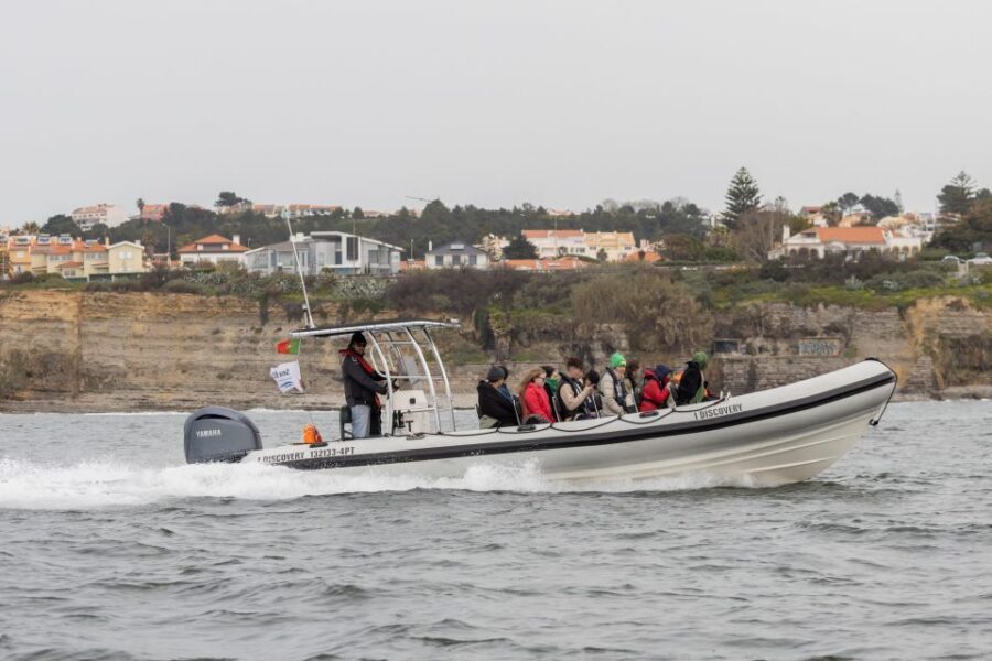 Birdwatching Boat Tour in the Tagus Estuary - Tagus Estuary Nature Reserve: the main birdwatching block