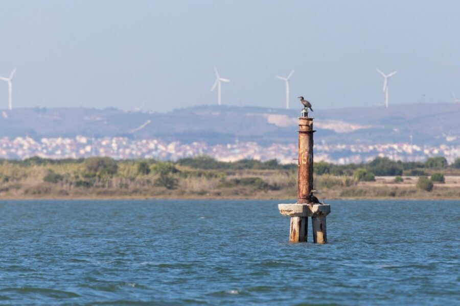 Birdwatching Boat Tour in the Tagus Estuary - Getting oriented: Doca de Santo Amaro and the 25 de Abril Bridge pass