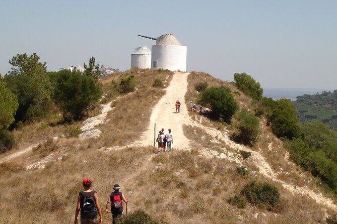 Bread, Wine&Cheese, The Natural Taste - Windmill Ridge Trail: Fossils, Ruins, and Big Views