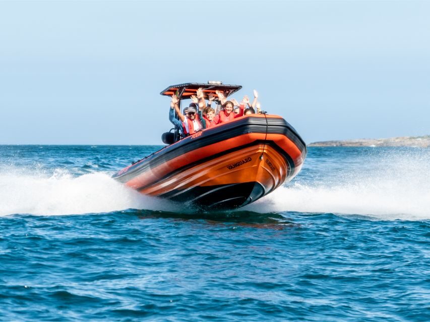 Cascais: Dolphin Watching Tour - Key things that make this dolphin tour worth your time