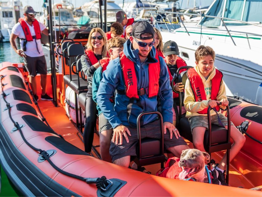Cascais: Dolphin Watching Tour - Cascais Marina launch: what your 2 hours actually feels like