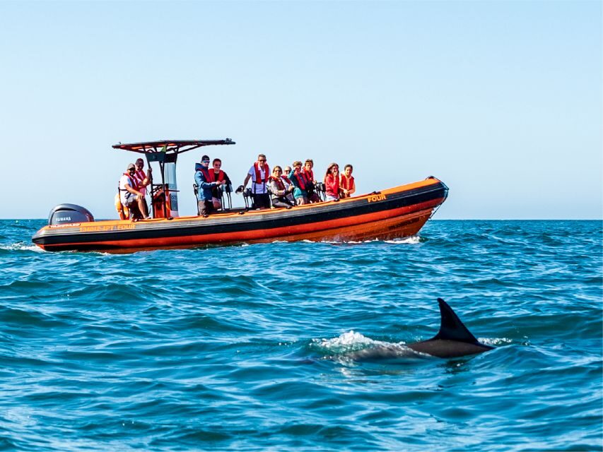 Cascais: Dolphin Watching Tour - Who this dolphin tour suits best (and who should skip it)